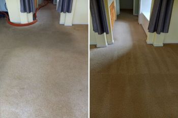 Carpet Steam Cleaning in Lincoln by My Dad's Floor and Upholstery Cleaning
