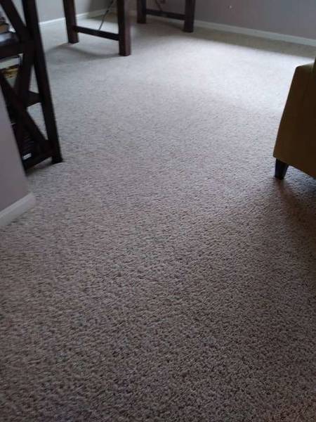 Carpet Cleaning in Auburn, CA (1)