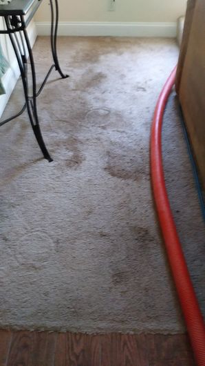 Before & After Carpet Cleaning in Garden Valley, CA (1)