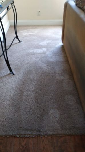 Before & After Carpet Cleaning in Garden Valley, CA (2)