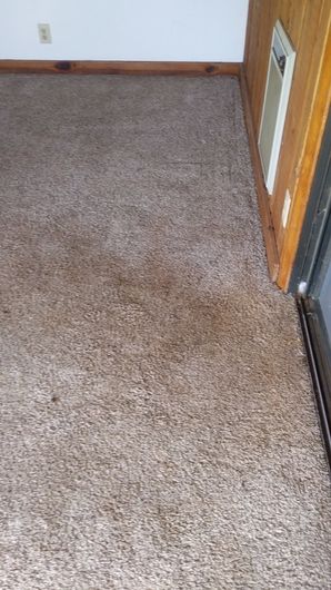 Before & After Carpet Cleaning in Georgetown, CA (1)