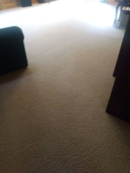 Carpet Cleaning in Georgetown, CA (1)