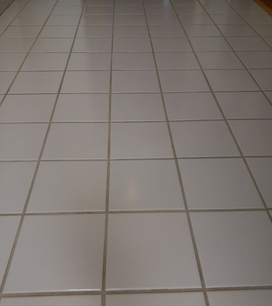 Tile & Grout Cleaning in Sacramento, CA (1)