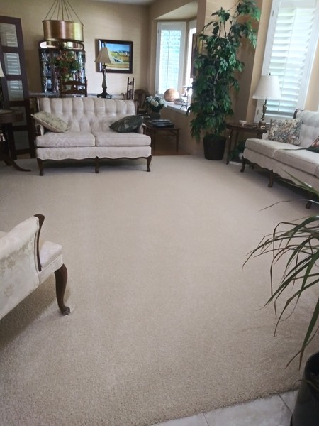 Carpet Cleaning in Loomis, CA (1)