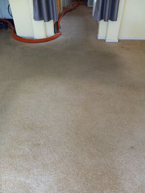 Before & After Carpet Cleaning in Sacramento, CA (1)