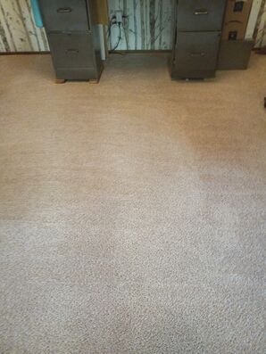 Before and After Carpet Cleaning Services in Roseville, CA (2)