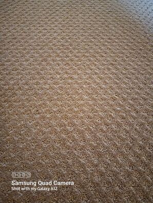 Carpet Cleaning in Rocklin, CA (1)