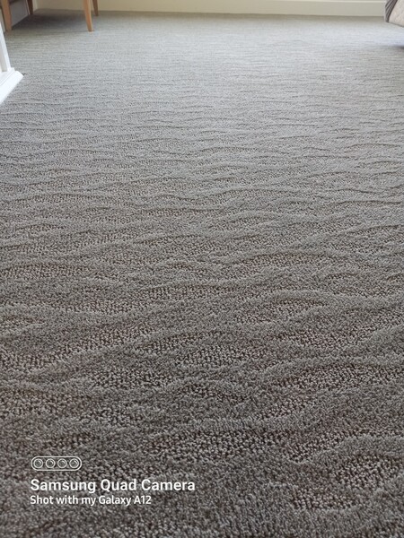 Carpet Cleaning Services in Fair Oaks, CA (1)