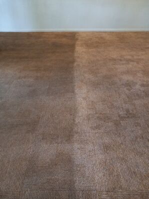 Before and After Carpet Cleaning Services in Citrus Heights, CA (2)