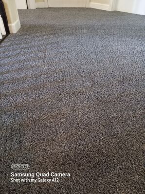 Carpet Cleaning in Rocklin, CA (2)