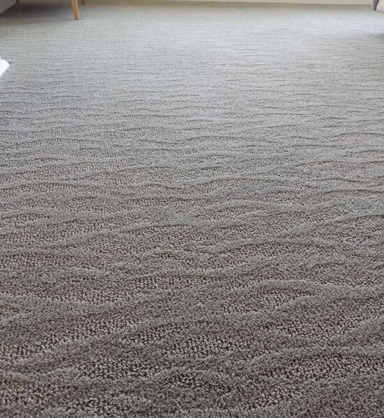 Carpet Cleaning in Sacramento, CA (1)