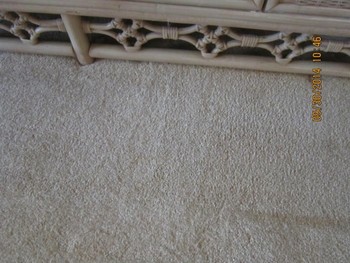 Before and After Carpet Stain Removal Granite Bay, CA 