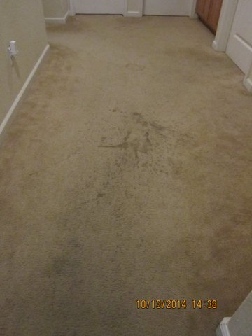 Before and After Carpet Cleaning Antelope, CA