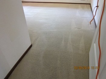 Before and After Carpet Cleaning Antelope, CA