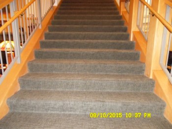 Commercial Carpet Cleaning in Lobby
