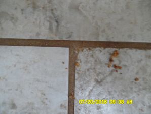 Before & After Tile and Grout Cleaning in Lincoln, CA (1)