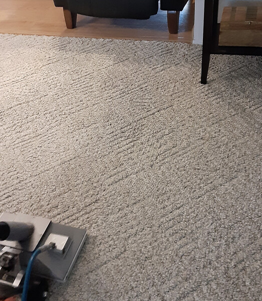 Carpet Cleaning in Fair Oaks, CA (1)